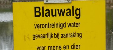 Geen blauwalg meer in zwemwater Herenweg, waarschuwing voor Vrouwentroost