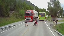 Dramatische Szenen aus Norwegen: Vollbremsung von Lkw-Fahrer rettet Kind das Leben