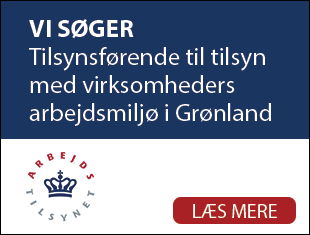 BeskÃ¦ftigelsesministeriet