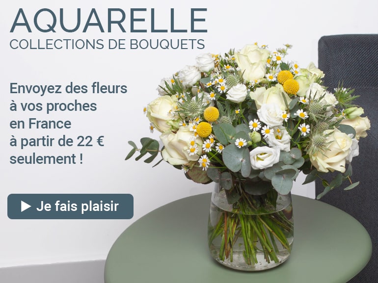 UFE Livraison de fleurs en France Promo