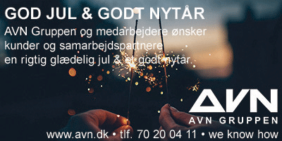 AVN Gruppen