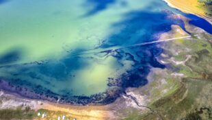 aerial-view-from-drone-of-a-lakeshore-the-water-changes-color-from-white-turquoise-to-navy-blue-serenity-and-peacefulness