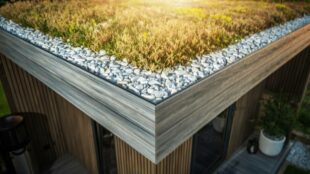 garden-shed-sedum-living-roof-corner-close-up